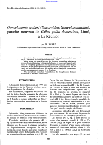 Gongylonema graberi (Spiruroidea : Gongylonematidae