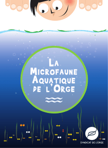 La microfaune aquatique