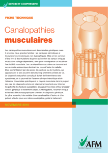 Les canalopathies musculaires