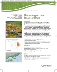 Drave a? graines imbrique?es fiche #1:Layout 1