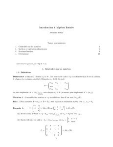Algèbre linéaire