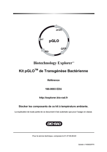 Kit pGLO de Transgénèse Bactérienne - Bio-Rad