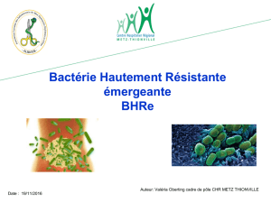 Bactérie Hautement Résistante