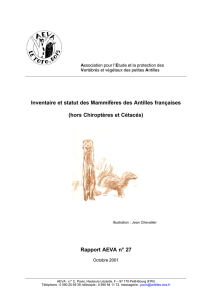 Inventaire et statut des Mammifères des Antilles françaises (hors