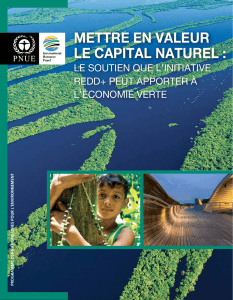 Mettre en valeur le capital naturel : Le soutien que l`initiative REDD+