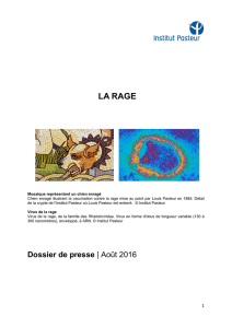 LA RAGE - Institut Pasteur