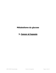 Métabolisme du glucose 3. Cancer et hypoxie