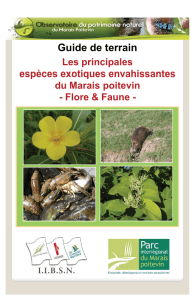 espèces exotiques envahissantes du Marais poitevin