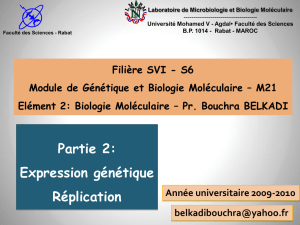 Réplication - Faculté des Sciences de Rabat