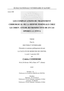 Télécharger le texte intégral - Thèses