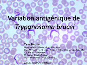 La variation antigénique chez les trypanosomes