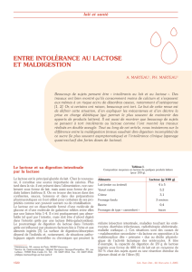 Entre Intolérance au Lactose et Maldigestion