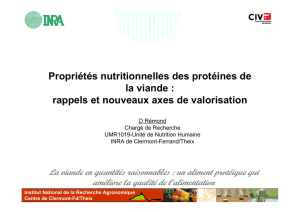 Propriétés nutritionnelles des protéines de la viande : rappels et