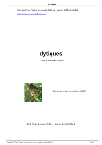 dytiques