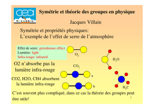 1-VILLAIN-Symetrie Et Theorie Des Groupes En Physique