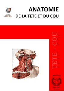 Anatomie de la tête et du cou - Laboratoire d`Anatomie | Faculté de