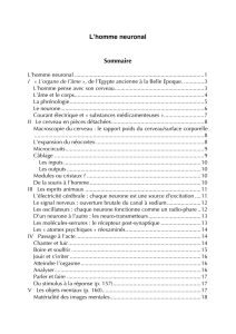 T&eacute;l&eacute;charger le r&eacute;sum&eacute;