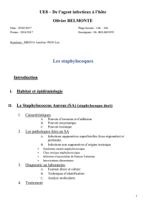 P2-UE8-Belmonte-Staphylocoques-20.02-pdf