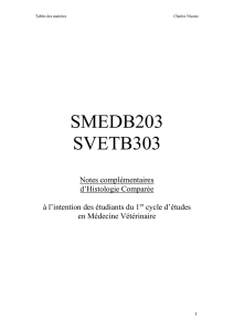 SMEDB203 SVETB303 Notes complementaires d