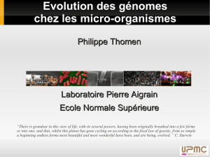 Evolution des génomes chez les micro