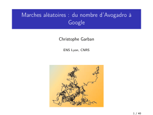 Marches aléatoires : du nombre d`Avogadro à Google