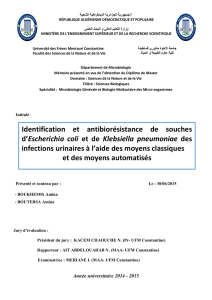 Identification et antibiorésistance de souches d`Escherichia coli et