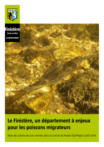 Le Finistère, un département à enjeux pour les poissons migrateurs