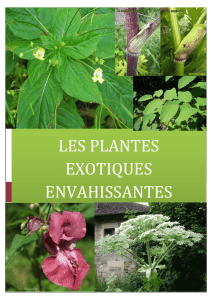 LES PLANTES EXOTIQUES ENVAHISSANTES