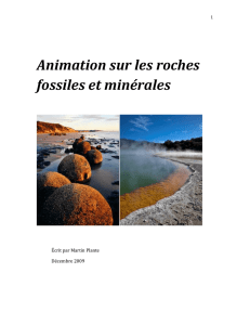 Animation sur les roches fossiles et minérales