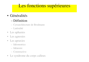 Les fonctions supérieures - Cours L3 Bichat 2012-2013