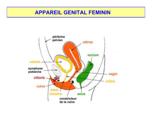app genital feminin