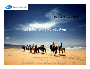 Les infections à Herpès Virus