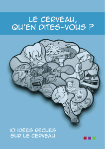 Le cerveau, qu`en dites-vous - ECHOSCIENCES