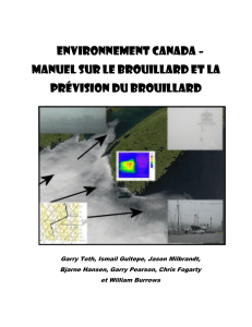 environnement canada – manuel sur le brouillard et la prévision du