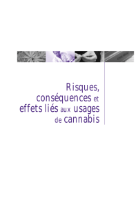 Risques, conséquences et effets liés aux usages de cannabis