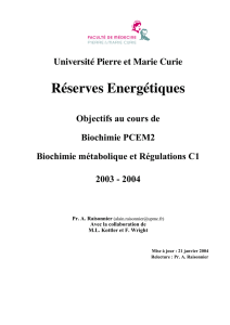 Réserves Energétiques - CHUPS – Jussieu