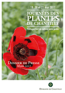 plantes - Domaine de Chantilly