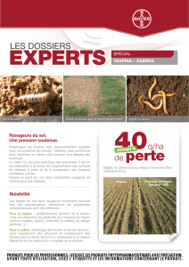 experts - Bayer-Agri