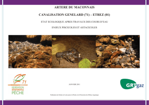 ARTERE DU MACONNAIS CANALISATION GENELARD (71