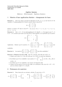 Algèbre linéaire Matrices - Déterminants
