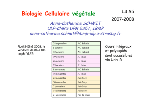 Biologie Cellulaire végétale