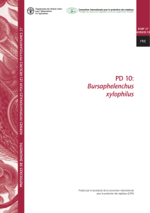 PD 10: Bursaphelenchus xylophilus