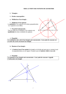 MISE AU POINT DES NOTIONS DE GEOMETRIE I. Triangles : 1