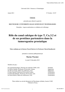 Rôle du canal calcique de type T, Cav3.2 et de ses