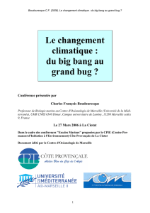 "Le changement climatique : du big bang au grand bug ?"