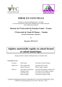 Algèbre matricielle rapide en calcul formel et calcul numérique