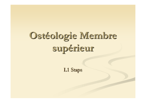 Osteologie du membre supérieur