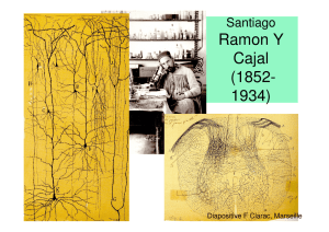 Ramon Y Cajal (1852