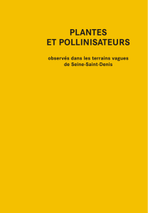 plantes et pollinisateurs - Les Parcs de Seine-Saint