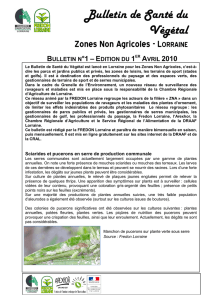 Bulletin de Santé du Végétal